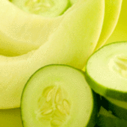 Men's Cucumber Melon Scented Pheromone Oil - AttractionOil.com